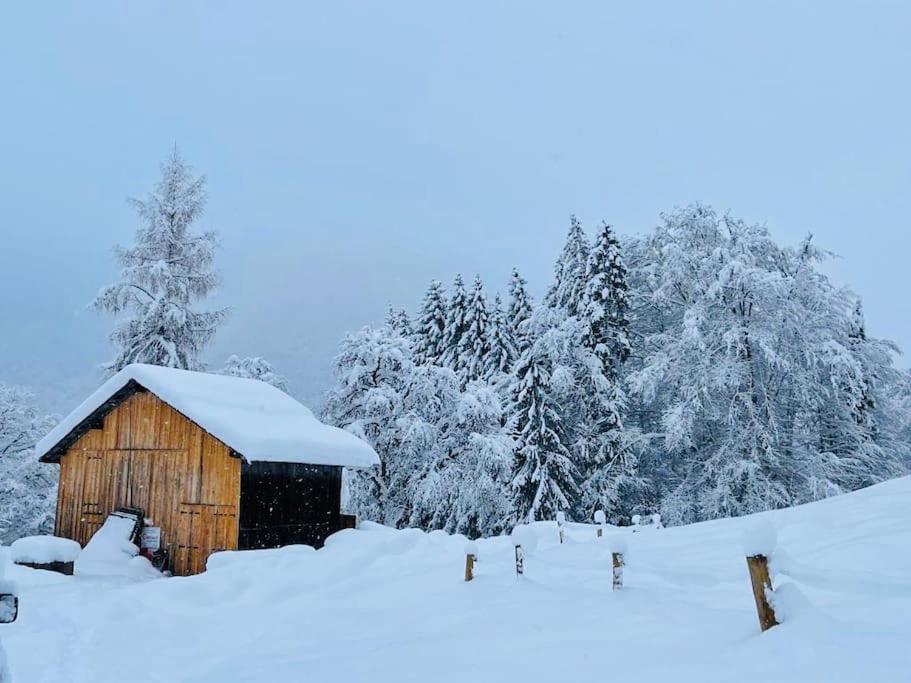 Le Chalet De Bemont Vila Samoëns Exterior foto