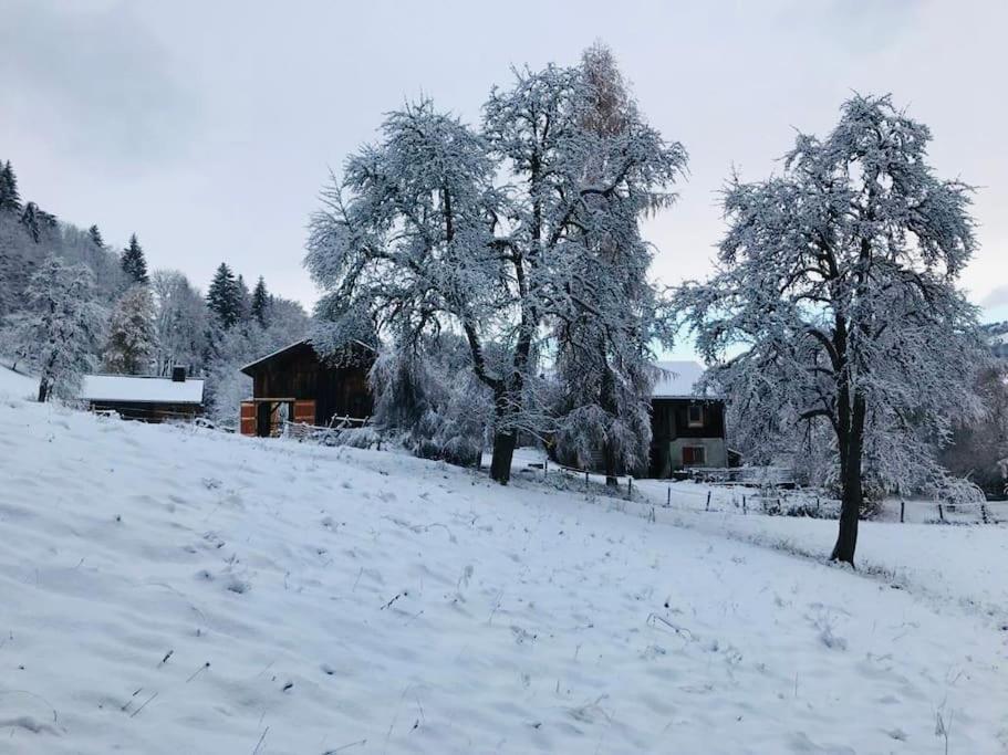 Le Chalet De Bemont Vila Samoëns Exterior foto